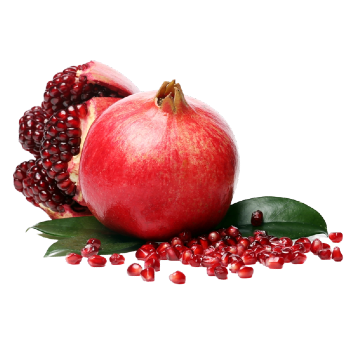 Pomegranate Images
